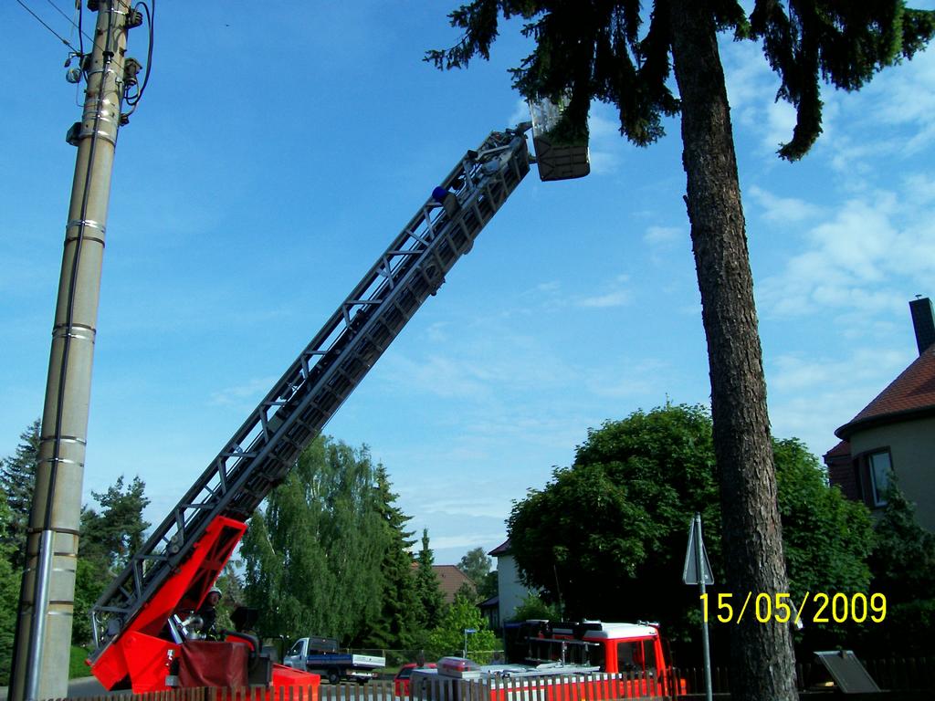 Bild 14