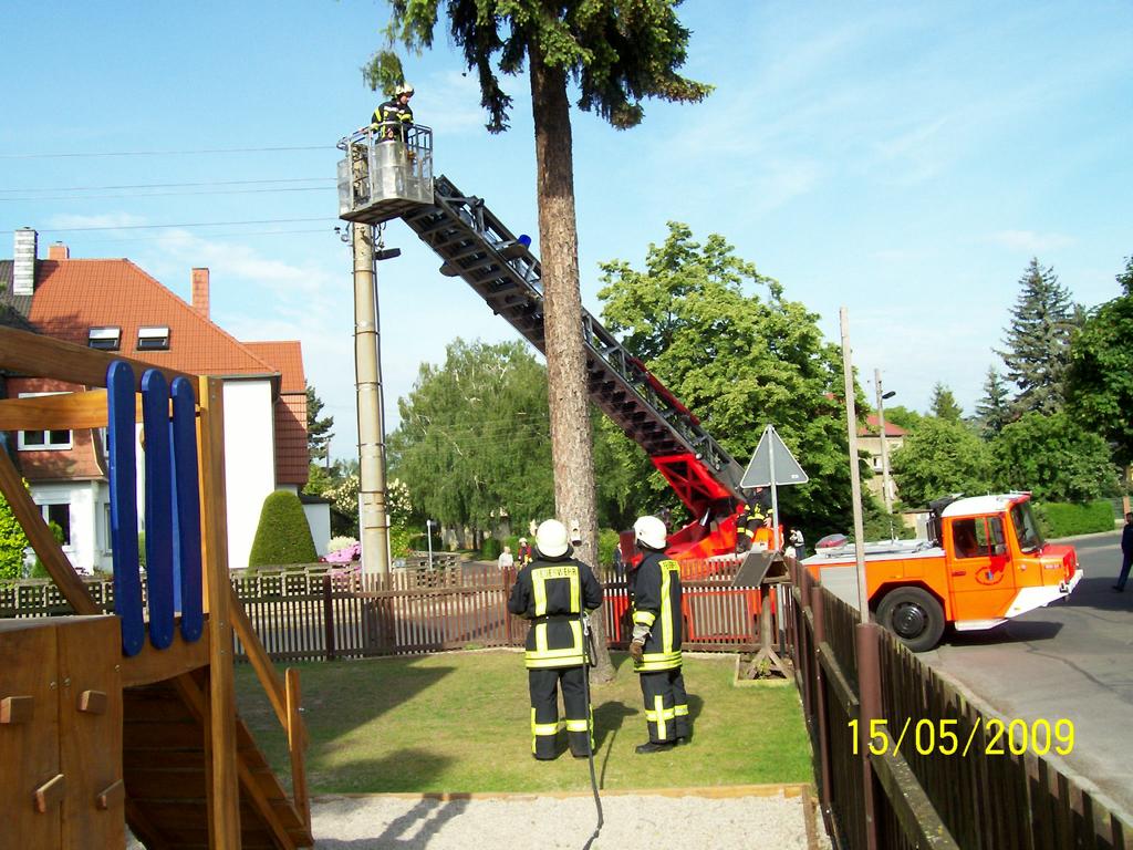 Bild 15